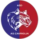 AS Cavriglia
