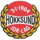 Hokksund IL