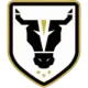 Bulls FC Academy