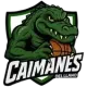 Caimanes del Llano