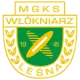 MGKS Włókniarz Leśna