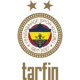 Fenerbahçe (Cyber)