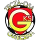 GKS Tęcza-Osa Osieczna