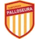 Tampereen Palloseura