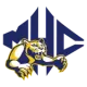 Mars Hill Lions