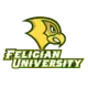 Felician Golden Falcons