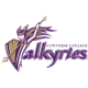 Converse Valkyries