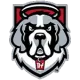 D'Youville Saints