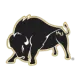 Harding Bisons