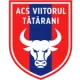 ACS Viitorul Tătărani