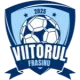 ACS Viitorul Frasinu