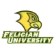 Felician Golden Falcons
