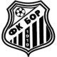 FK Bor 1919