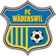 FC Wädenswil