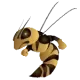 Harris-Stowe State Hornets