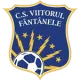 CS Viitorul Fântânele
