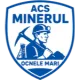 ACS Minerul Ocnele Mari