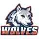 Western Connecticut Wolves