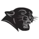 Plymouth State Panthers