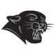 Plymouth Panthers