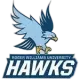Roger Williams Hawks