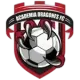 Academia Dragones