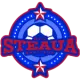 AFC Steaua Radovanu U19