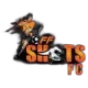 Offshots FC