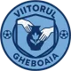 FC Viitorul Gheboaia U19