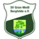 SV Grün-Weiß Bergfelde II
