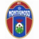 Montignoso