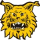 Ilves/FL Vihreä