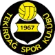 Tekirdağspor U17