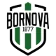Bornova 1877 U17