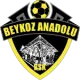 Beykoz Anadolu Spor U15