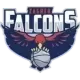 ŽKK Falcons U14