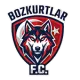 Bozkurtlar FC
