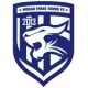 Wuhan Three Towns U20