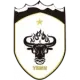 Yushu Yak