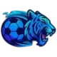Analytix FC