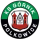 Górnik II Polkowice