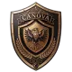 FC Canova