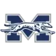 Moravian Greyhounds