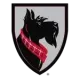 Carnegie Mellon Tartans
