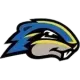 Goucher Gophers