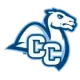 Connecticut Camels