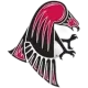 Wisconsin-River Falls Falcons