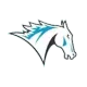 Colby-Sawyer Chargers