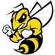 Randolph Macon Yellow Jackets