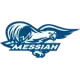 Messiah Falcons